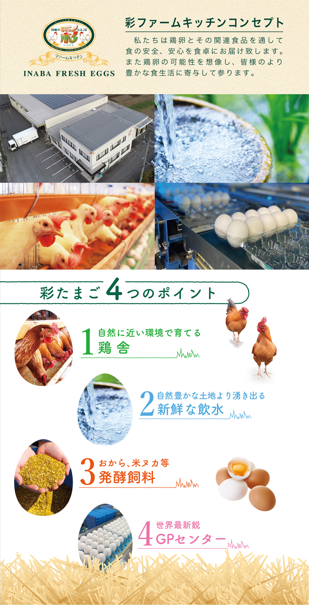 �ʃt�@�[���L�b�`��