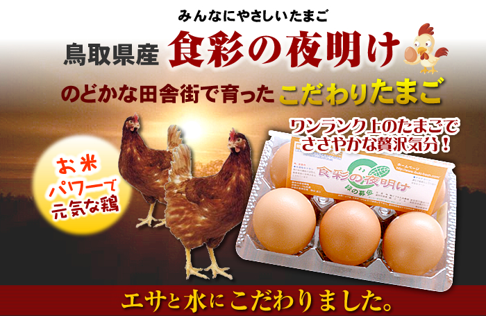 Hʂ̖閾